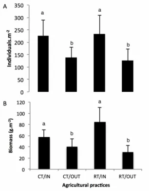 Figure 3. Earthworm abundance in numbers m -2  and biomass in g m -2  (±Standard deviation) measured  in CT / IN: conventional tillage with crop residues incorporated into the soil; CT / OUT: conventional 