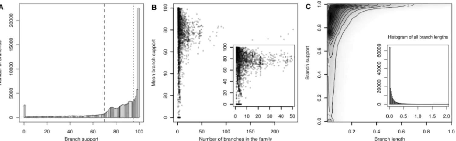Figure 4. Overview of some of the possibilities of the PhEVER interface. (A) HoSeqI tool to query PhEVER families with a user provided sequence, (B) Query the database with terms including gene name, species name, annotation terms, (C) Alignments and phylo
