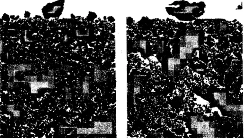 Fig. 4. Typical photographs of the upper sections of tilth produced by a spring-tine cultivator, rotary tillers (on  the left,  λ =3.77 and on the right  λ =2.34)