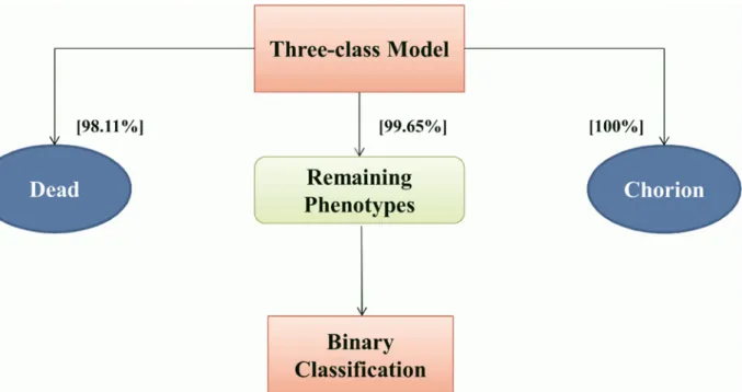 Figure 3. Two-tier pipeline. Schematic overview of the Two-tier approach for classification, also showing the recognition rates observed on the test set for the three-class model.