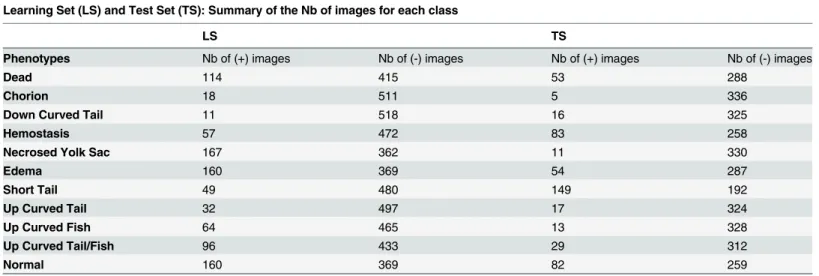 Table 2. Number of images by class (+) and (-) for each phenotype, in the learning set (LS) and the test set (TS).