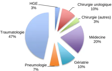 Figure 4 : Diagnostics principaux des AEPf- non justifiés    HGE : Hépato-gastro-entérologie HGE 3% Chirurgie urologique 10% Chirurgie (autres) 3% Médecine 20% Gériatrie Pneumologie 10% 7%Traumatologie47%