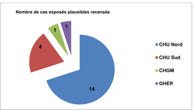 Figure 8 : Répartition géographique de la prise en charge initiale des cas exposés plausibles  recensés au sein des quatre services d’urgence de l’ile de la Réunion