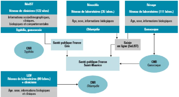 Figure 3 : Organisation de la surveillance des IST en France. Source : Santé  publique France [11]