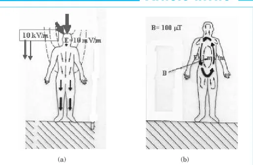 Fig. 6: External E-field (a) and B-field (b) effects on a human being and resul- resul-tant internal currents and E-field due to current densities in the body