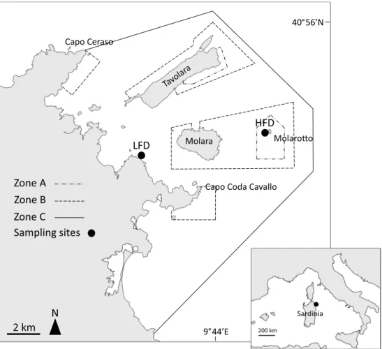 Fig. 1    Study area and location of sampling sites (HFD and LFD)  at the Tavolara-Punta Coda Cavallo Marine Protected Area (Italy,  Mediterranean Sea)