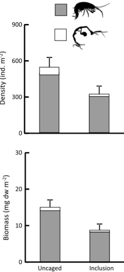 Fig. 6    Effect sizes (reported as eta-squared; η 2 ) of fish predation  effects on different amphipod species in the inclusion experiment