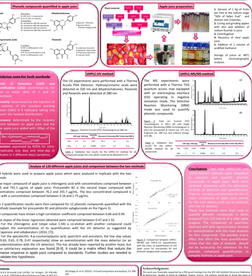 Figure 2. Total Ion Current (TIC) chromatogram in ESI(-) (A) and Single Reaction Monitoring (SRM) chromatogram in ESI(-) for procyanidin B