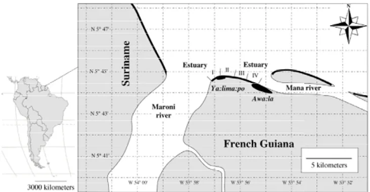 Table 1: Model selection for leatherback nest counts on Ya:lima:po beach in 2002. Selected models are in bold.