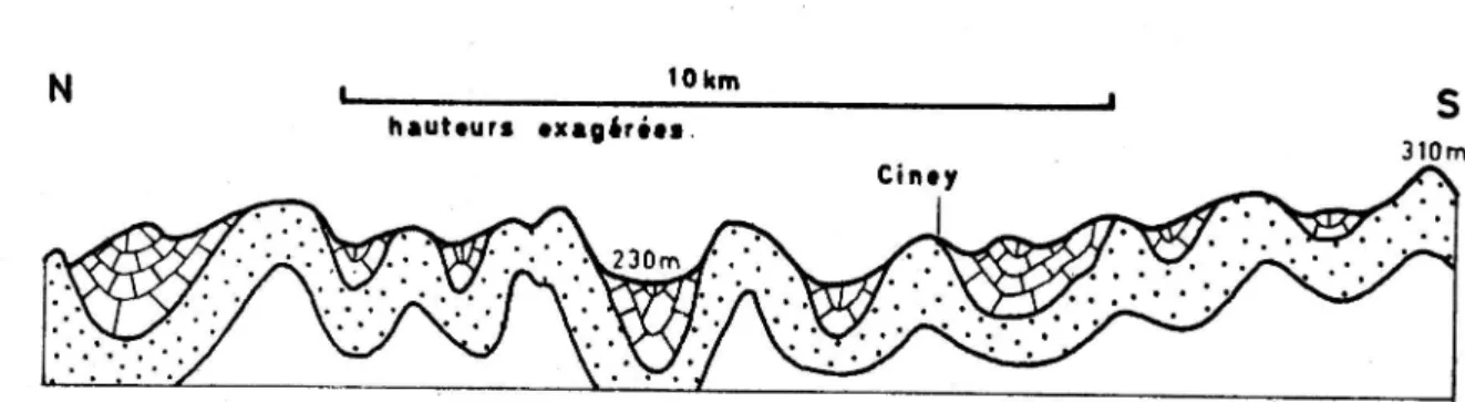 Figure  2.-  coupe nord-sud,  passant  por ciney,  dons  le  synclinorium  de  Dinant.