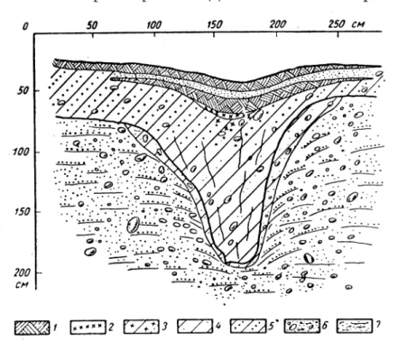 Fig.  6.  - Coupe dans une fente  de  gel  à  remplissage uniquement minéral  se  constituant  dans  une  région  sans  permafrost