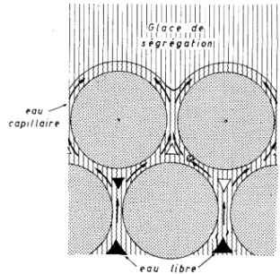 Fig.  8.  - Schéma  montrant  la  migration  de  l'eau  capillaire  vers  une  lentille  de  glace  de  ségrégation  en  cours  de  croissance