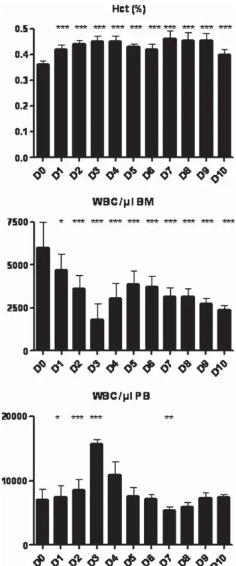 Figure 2. Immunohistochemical analyzes of CD31   arterioles in  the heart of (A) control mice and (B) G-CSF treated animals  (magnifi cation  50).