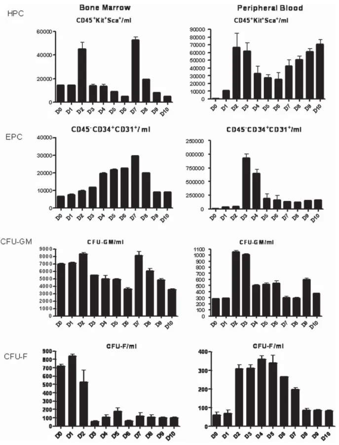 Figure 4. HPC and EPC, as well as CFU-GM and CFU-F, in PB of mice before (day 0) and after 1–10 days of G-CSF therapy.