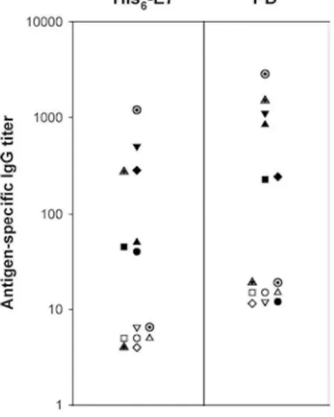 Fig. 6 Prevaccination and postvaccination humoral responses to E7 and H. influenzae protein D
