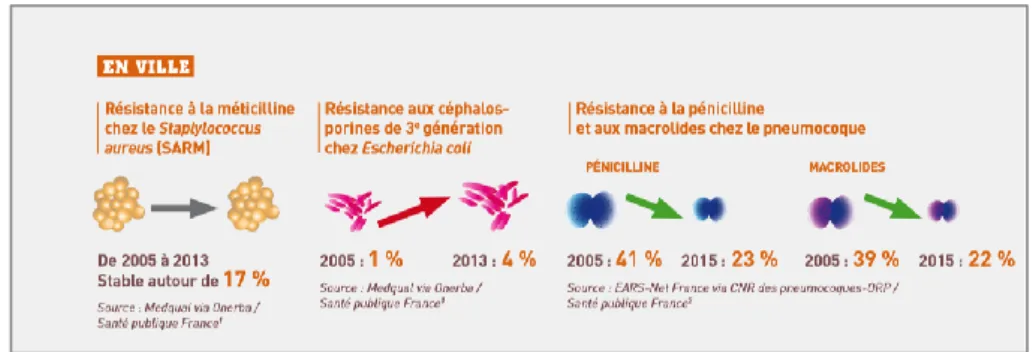 Figure 5 : Evolution des résistances d’E. coli en ville  b) En établissements de santé :  