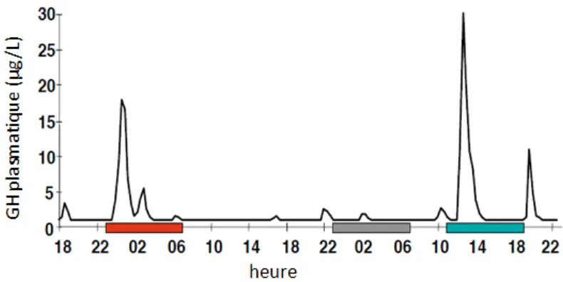 Figure 3 : Concentrations en GH plasmatique au cours du nycthémère après privation de sommeil