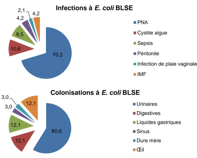 Figure  5 :  Répartition  en  pourcentage  des  diagnostics  d’infections  et  de  colonisations  à  E