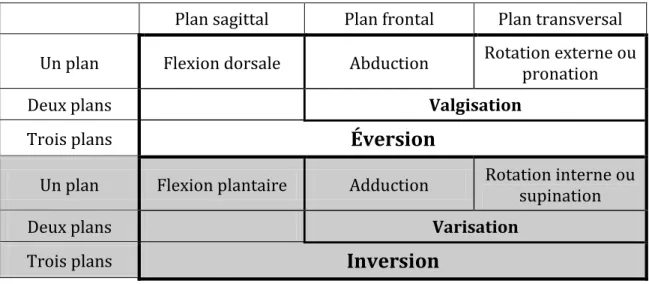 Tableau 2-2 : Mobilité du complexe cheville-arrière pied selon le/les plan(s) d’étude