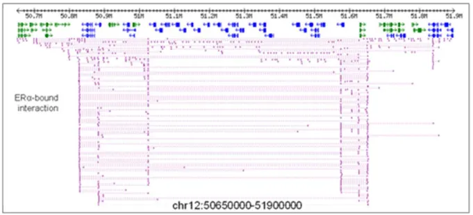 Figure 21 : Données de ChIAPet 