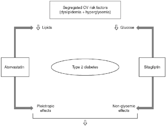 Figure 3. Complementary metabolic and vascular mechanisms of action of atorvastatin and sitagliptin, which  may result in improving cardiovascular prognosis in patients with type 2 diabetes