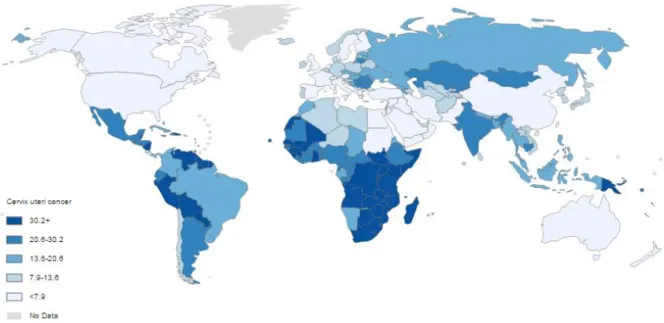 Figure 1. Incidence du cancer du col utérin dans le monde  [2]