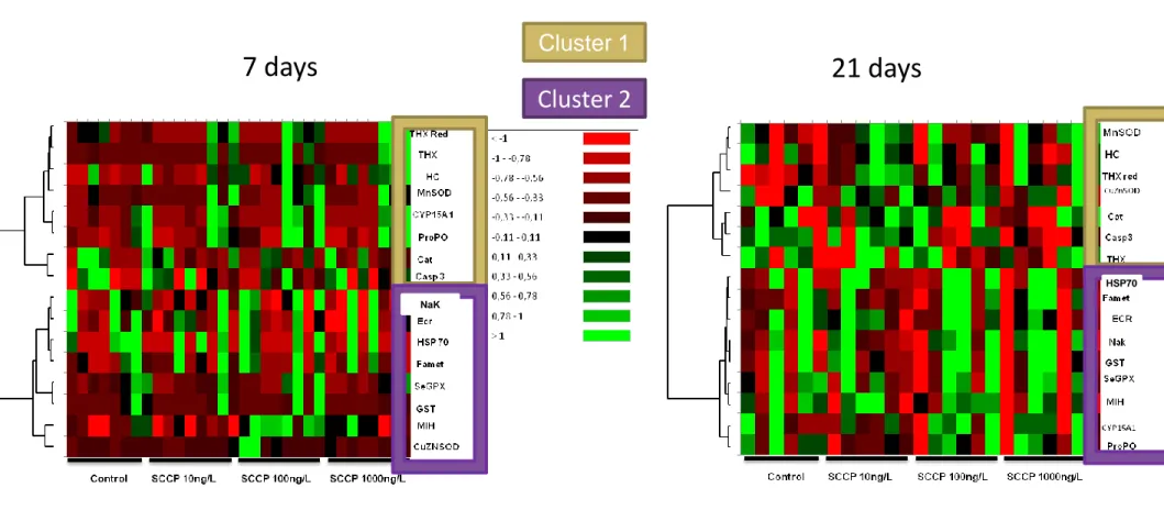 Fig. 3: heatmaps with hierarchical clustering of genes by similarity of expression levels  between 20°C exposure conditions