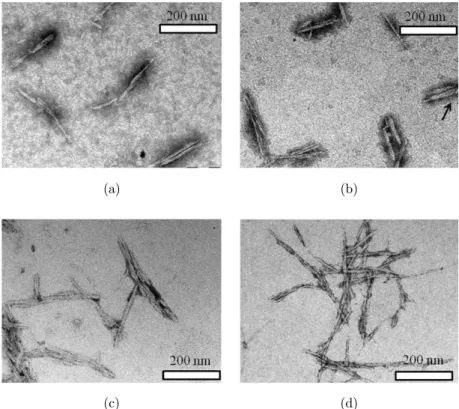 Fig. 3. TEM micrographs of the NCCs separated from the MCCs: (a) NCC1, (b) NCC2, (c) NCC3 and (d) NCC4.