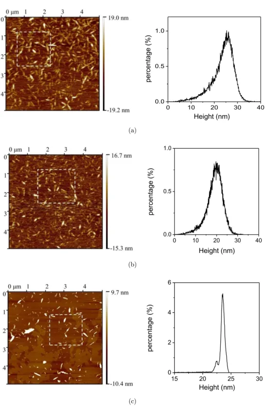 Fig. 4. AFM images and particle height distribution of NCCs: (a) NCC1, (b) NCC2, (c) NCC3 and (d) NCC4.