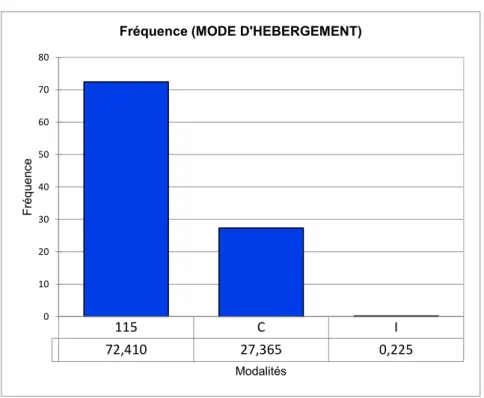 Graphique 12- Fréquence des modes d’hébergements 