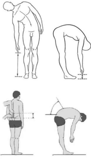 Figure 6 – Exemple de mesures de métrologie (de gauche à droite : inflexion latérale du  tronc, flexion antérieure avec mesure distance doigts-sol et indice de Shöber) 