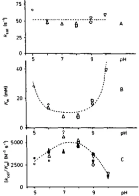 Fig. 1. pH  dependence  of^a,  (A),  K„  (B)  and \i.a«jKn  (C)  for  the hydrolysis  of  Ac2-L-Lys-D-Ala-D-Ala  by  the  active-site  serine   DD-peptidase o/Streptomyces  R6L  *;„, and K^ were obtained from  initial velocity  measurements  using  2, 4, 6
