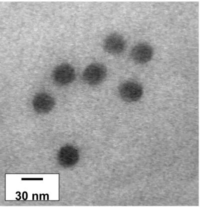 Fig. 2. TEM picture of micelles formed by the PS 200 -b-P2VP 140 -b-PEO 590  copolymer  at pH &gt; 5  