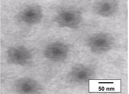 Fig. 4. TEM picture of micelles formed by the PS 200 -b-P2VP 140 -b-PEO 590  copolymer  at pH &lt; 5 (contrasted with RuO 4 )  