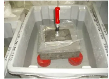 Fig. 6. Confinement of the free lime nodule  inside the concrete. 