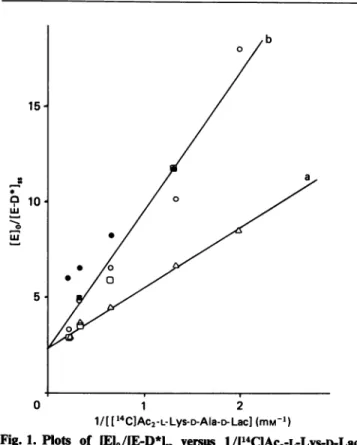 Fig. 1. Plots of IEIO/IE-D*Ij versus 1/I14C1Ac2-L-Lys-D-Lac