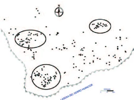 Fig. 2. Drawing of different engraved rocks at Huancor. The escarpment on the edge of the valley is  indicated by oblique lines and the engraved rocks by dots