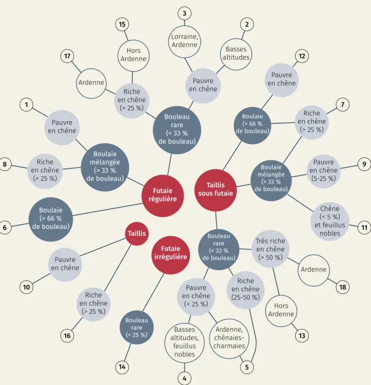 Figure 8. Arbre de décision classant les peuplements à bouleau selon les 18 principaux types de la classification  (identifiés par un numéro).