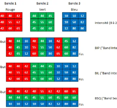 Figure 2.10 — Codage des bandes matricielles 5