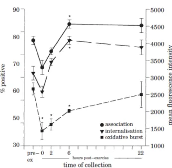 Figure 13 : Phagocytose et activité oxydative des neutrophiles sanguins de chevaux avant et à  différents temps suivant la réalisation d’un effort intensif