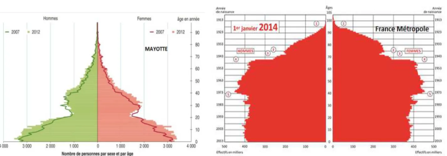Figure 4 : Pyramide des âges Mayotte (source : INSEE) versus la France métropolitaine (source :  Population et Société n° 509, Ined, Gilles Pison, mars 2014) 