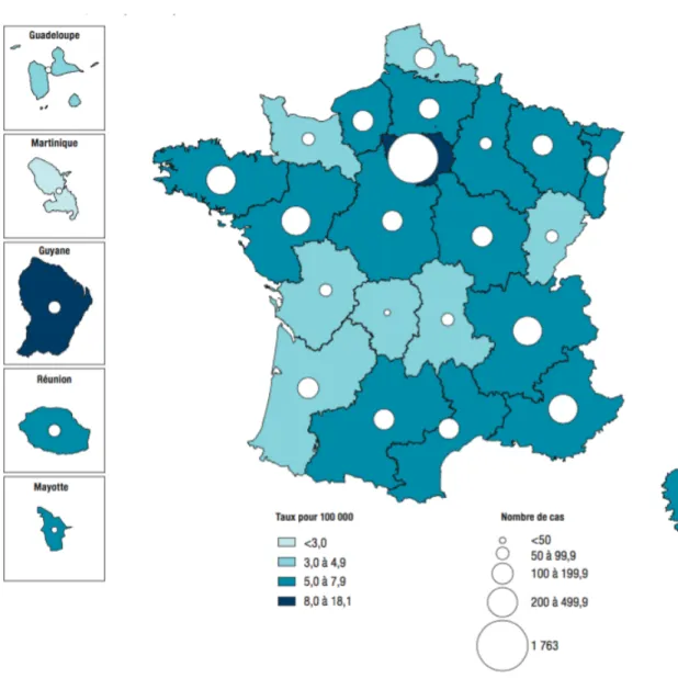 Figure 1 : Répartition géographique des cas de tuberculose en France  Cas déclarés en France en 2013 (17) 