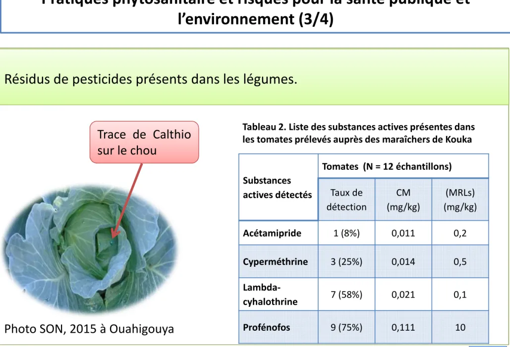 Tableau 2. Liste des substances actives présentes dans  les tomates prélevés auprès des maraîchers de Kouka