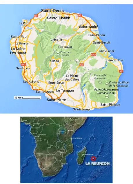 Figure 3. Carte de la Réunion et situation géographique 