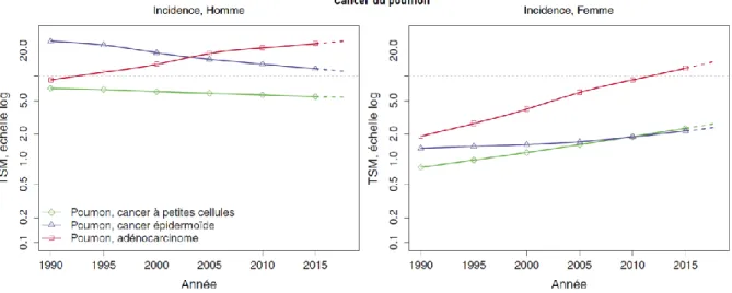 Figure 1 : Evolution de l’incidence de de la mortalité par cancer chez l’homme (à gauche) et la  femme (à droite) de 1990 à 2018 (Defossez, 2019)