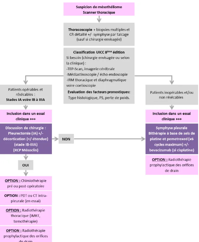 Figure 3 : Résumé de la prise en charge du mésothéliome pleural malin (Locatelli-Sanchez et al,  2019) 