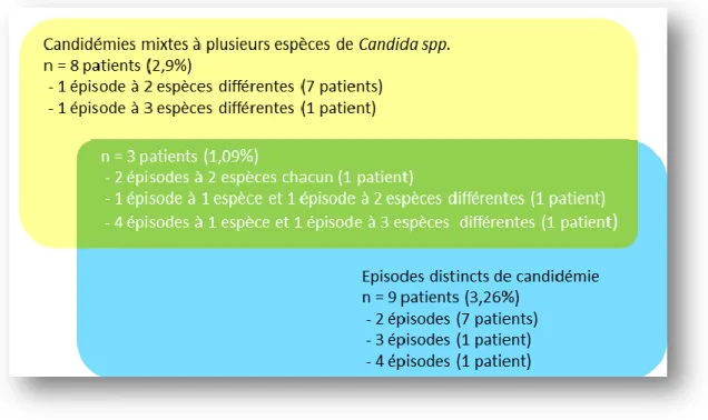 Figure 4 : Répartition des épisodes de candidémies multiples et à plusieurs espèces 