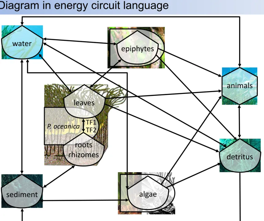 Diagram in energy circuit language