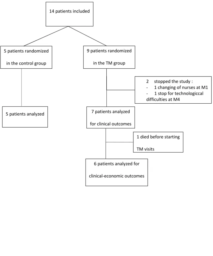 Figure 1 – Flow chart of inclusions / AIRPEDIA trial, France