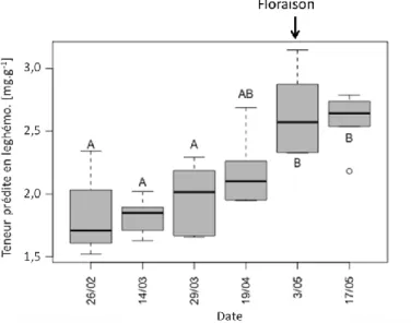 Figure  5 :  Evolution  des  teneurs  moyennes  en  leghémoglobine  (mg  leghémoglobine  g -1   nodosités  fraiches)  prédites sur des images hyperspectrales proche infrarouge acquises sur des échantillons de nodosités sèches